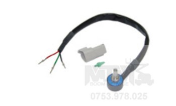 Potentiometru Manitou 100VJR EVOLUTION 80VJR EVOLUTION 90V AIR / Manitou potentiometer