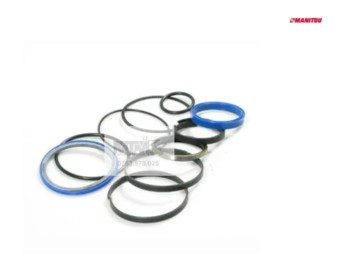 Set de etansari Manitou MT ML MLT MVT MLT X / Seal set Manitou 551321