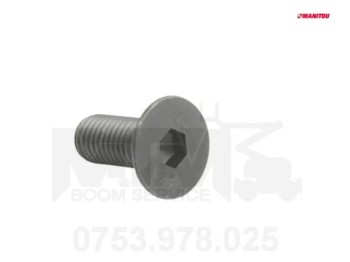 Surub Manitou 44503 569217 A4181477A / Bolt Manitou 600670