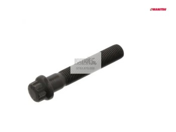 Surub Manitou / Bolt Manitou 604911