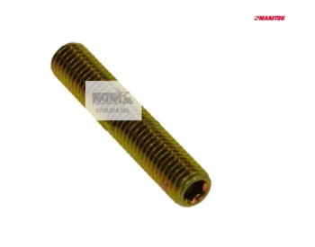 Surub Manitou MT MLT TMT MT X MLT X / Screw Manitou 220391