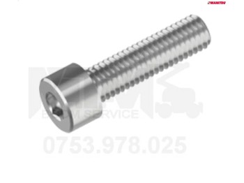 Surub Manitou SLT TMT BTI / Manitou screw 604762